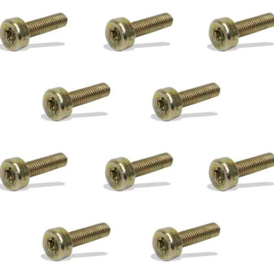 Kit 10 parafuso estriado Torx M5x18mm para motosserra Stihl