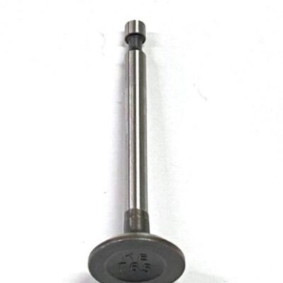 Valvula da admissao motor 4t 6hp